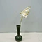 white orchid decoration